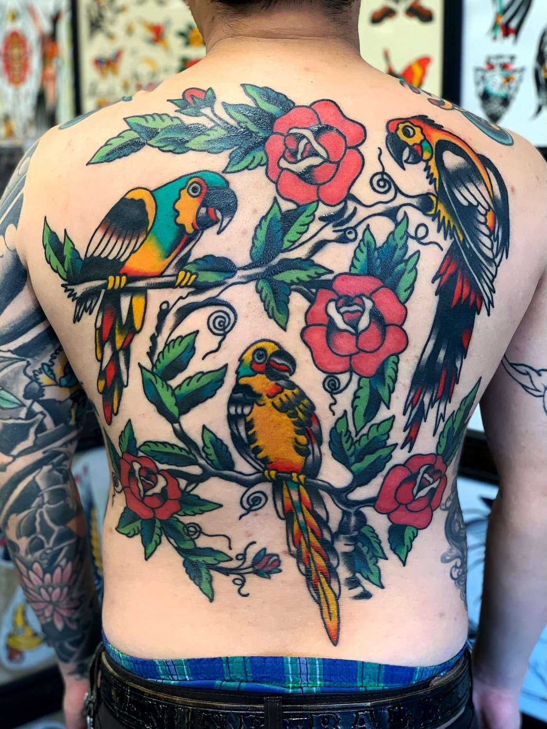 Tattoo of parrots on back